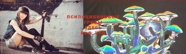 бутират Карталы